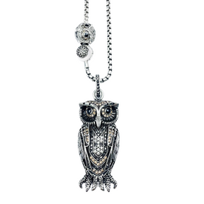 Colar Amuleto - Coruja Guardiã Espiritual - Proteção + Charm de Brinde