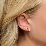 Brincos Estrela Banho de  Ouro - Climber